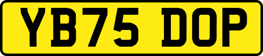 YB75DOP