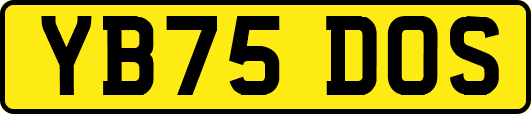 YB75DOS