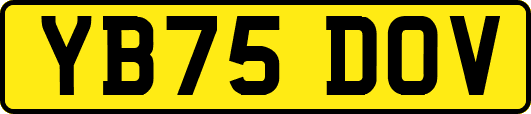 YB75DOV