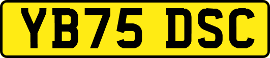 YB75DSC