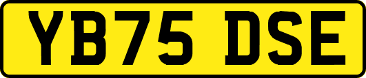 YB75DSE