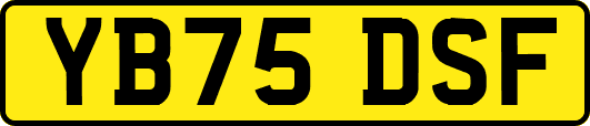YB75DSF