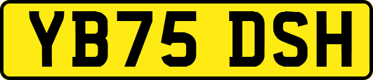 YB75DSH
