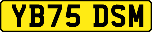 YB75DSM