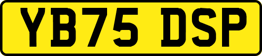 YB75DSP