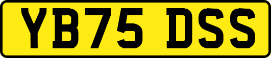 YB75DSS