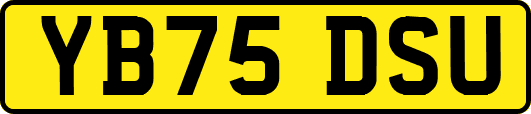 YB75DSU