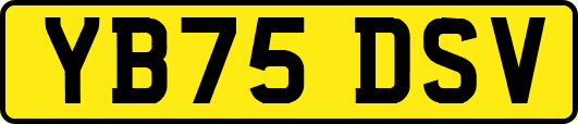 YB75DSV