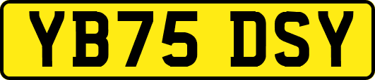 YB75DSY