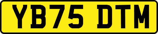YB75DTM