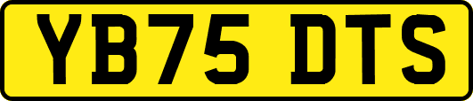 YB75DTS
