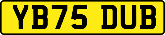 YB75DUB