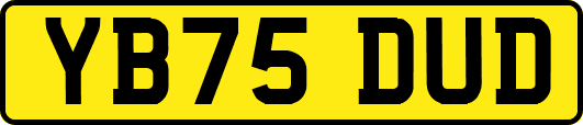 YB75DUD