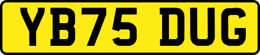 YB75DUG