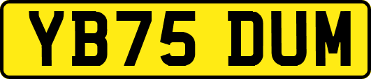 YB75DUM