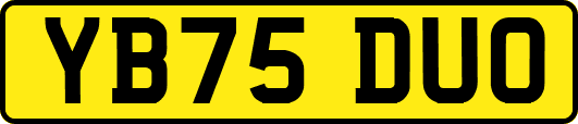 YB75DUO
