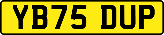 YB75DUP