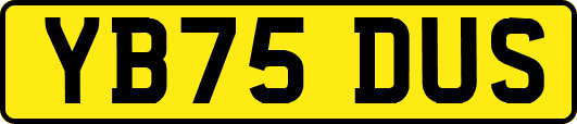 YB75DUS