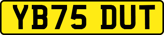 YB75DUT