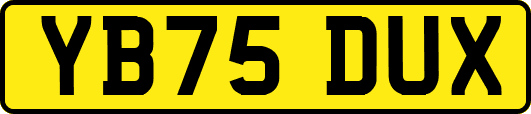 YB75DUX