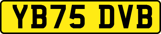 YB75DVB