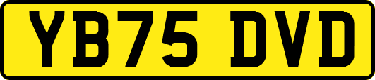 YB75DVD