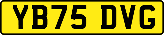 YB75DVG