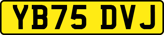 YB75DVJ