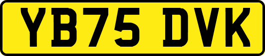 YB75DVK