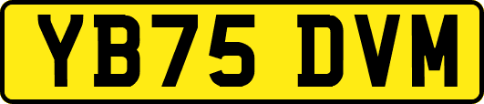 YB75DVM