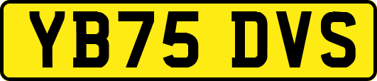 YB75DVS