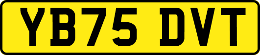 YB75DVT