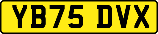 YB75DVX