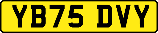 YB75DVY