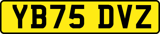 YB75DVZ