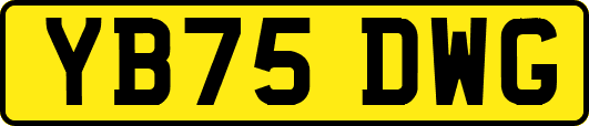 YB75DWG