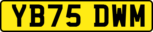 YB75DWM