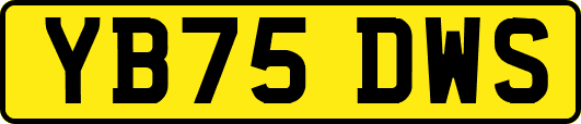 YB75DWS