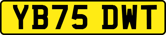 YB75DWT