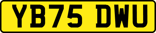 YB75DWU