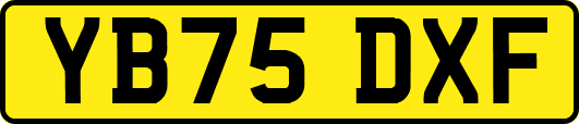 YB75DXF