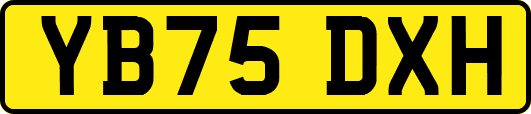 YB75DXH