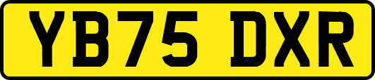 YB75DXR