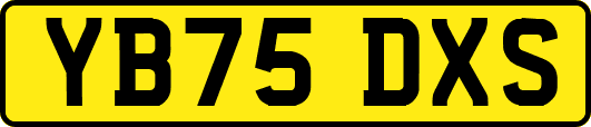 YB75DXS
