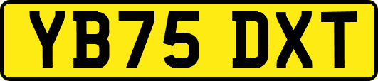 YB75DXT