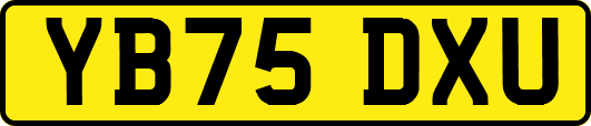 YB75DXU
