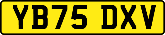 YB75DXV