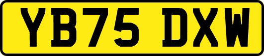 YB75DXW