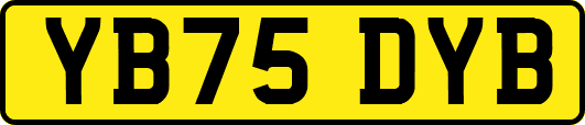 YB75DYB