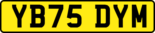 YB75DYM